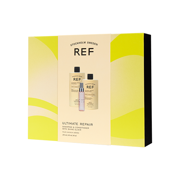 REF The Northern Lights Box Ultimate Repair