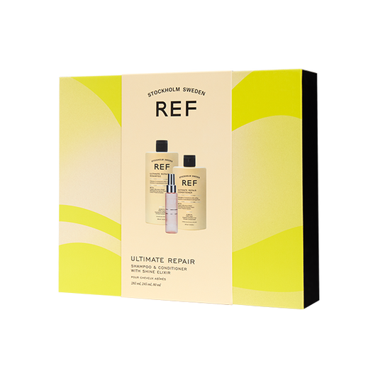 REF The Northern Lights Box Ultimate Repair